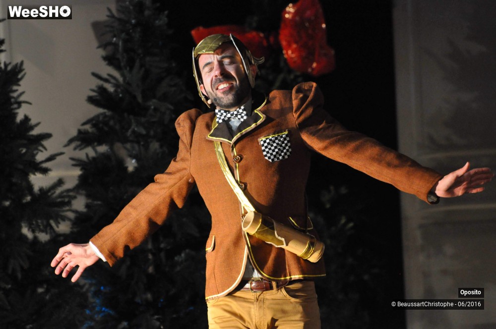 8/33 photos du spectacle La symphonie des sapins