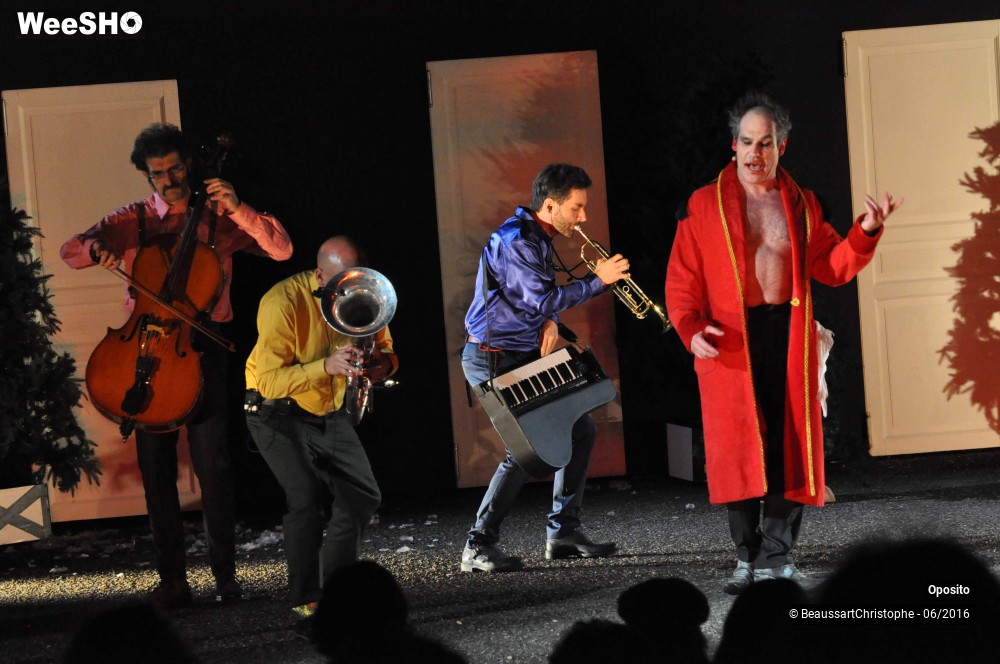 10/33 photos du spectacle La symphonie des sapins