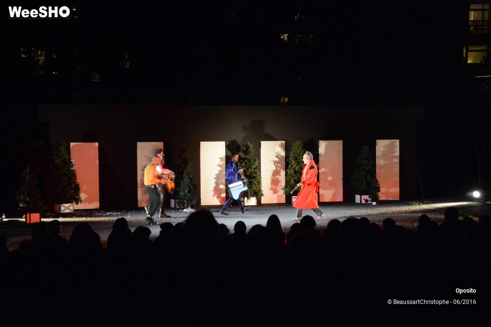 11/33 photos du spectacle La symphonie des sapins