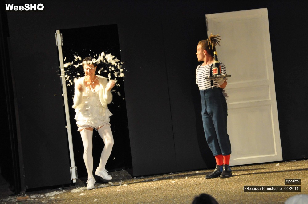 12/33 photos du spectacle La symphonie des sapins