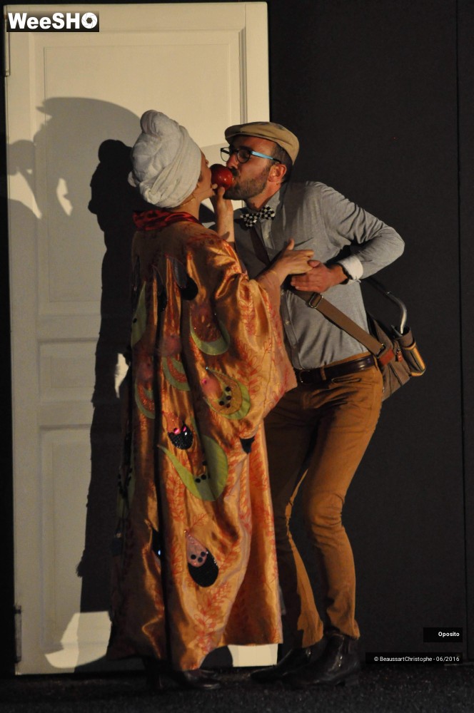 13/33 photos du spectacle La symphonie des sapins