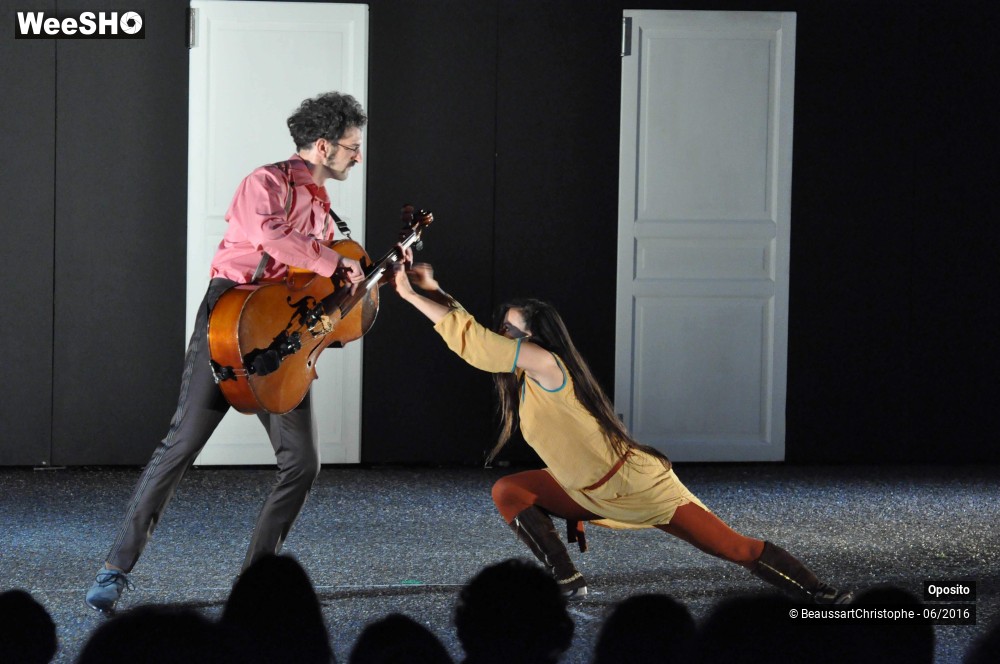 14/33 photos du spectacle La symphonie des sapins