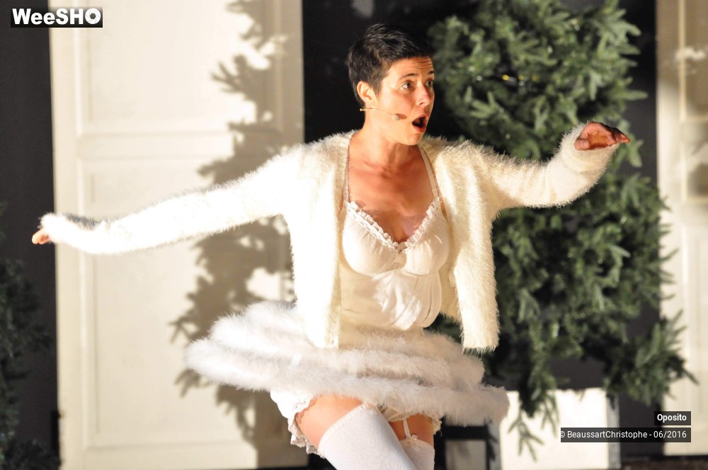 17/33 photos du spectacle La symphonie des sapins