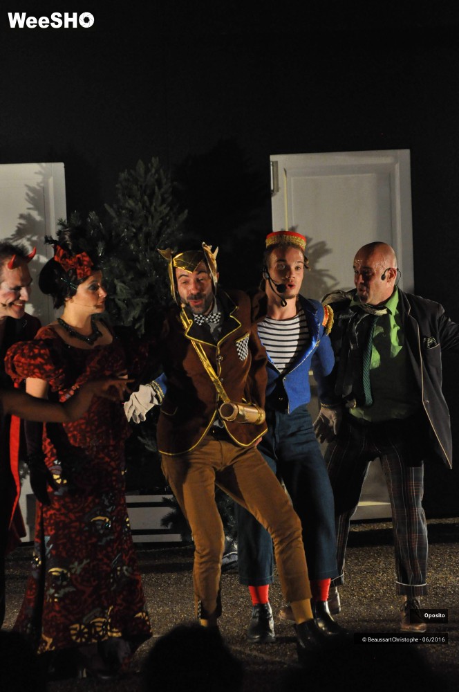 21/33 photos du spectacle La symphonie des sapins