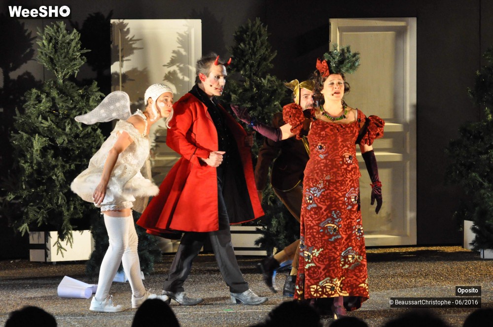 22/33 photos du spectacle La symphonie des sapins