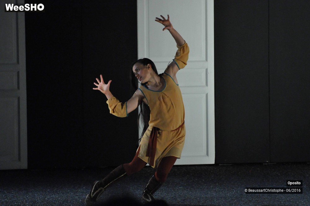 23/33 photos du spectacle La symphonie des sapins