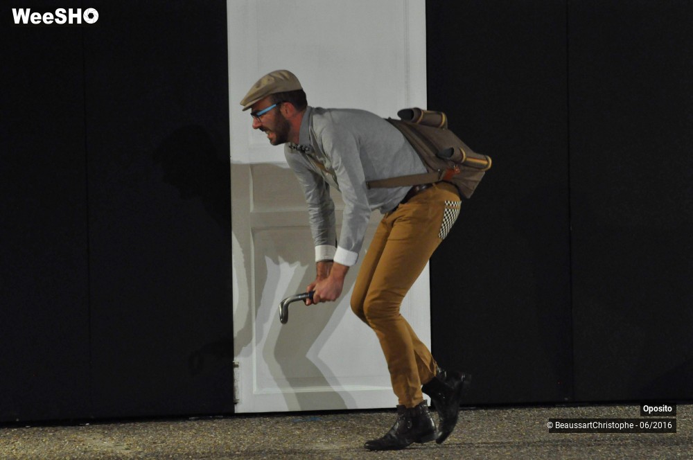 24/33 photos du spectacle La symphonie des sapins