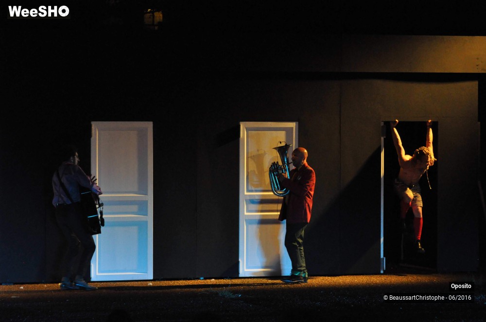 26/33 photos du spectacle La symphonie des sapins