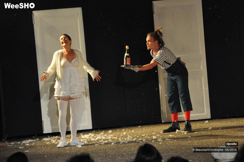 27/33 photos du spectacle La symphonie des sapins