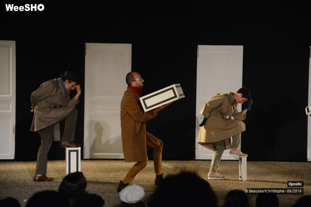 28/33 photos du spectacle La symphonie des sapins