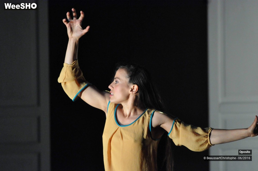 29/33 photos du spectacle La symphonie des sapins