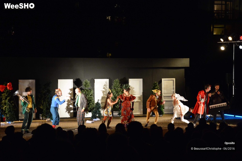 30/33 photos du spectacle La symphonie des sapins