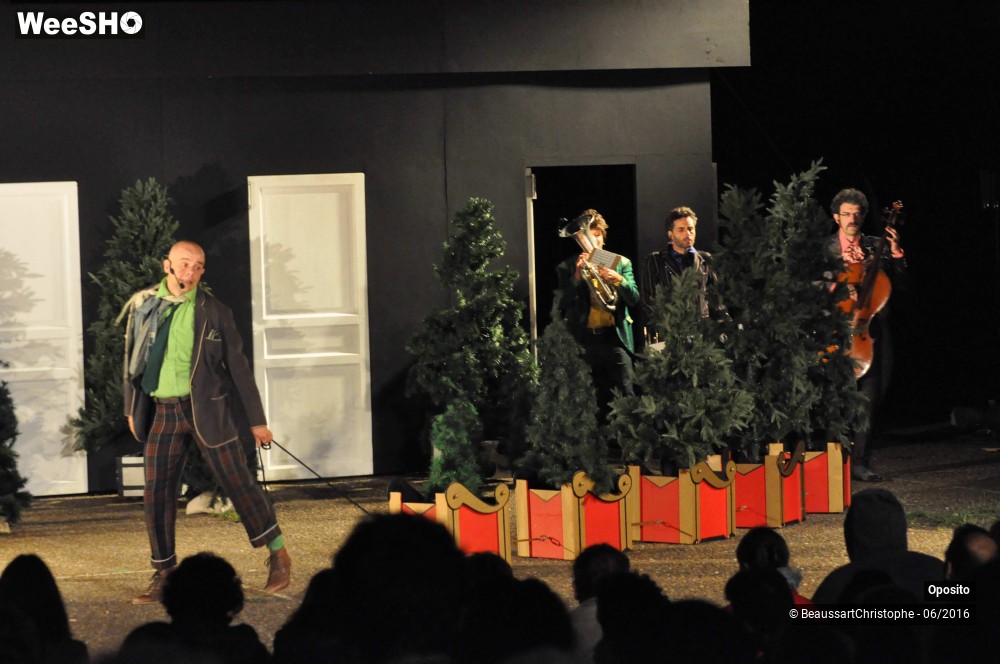 31/33 photos du spectacle La symphonie des sapins