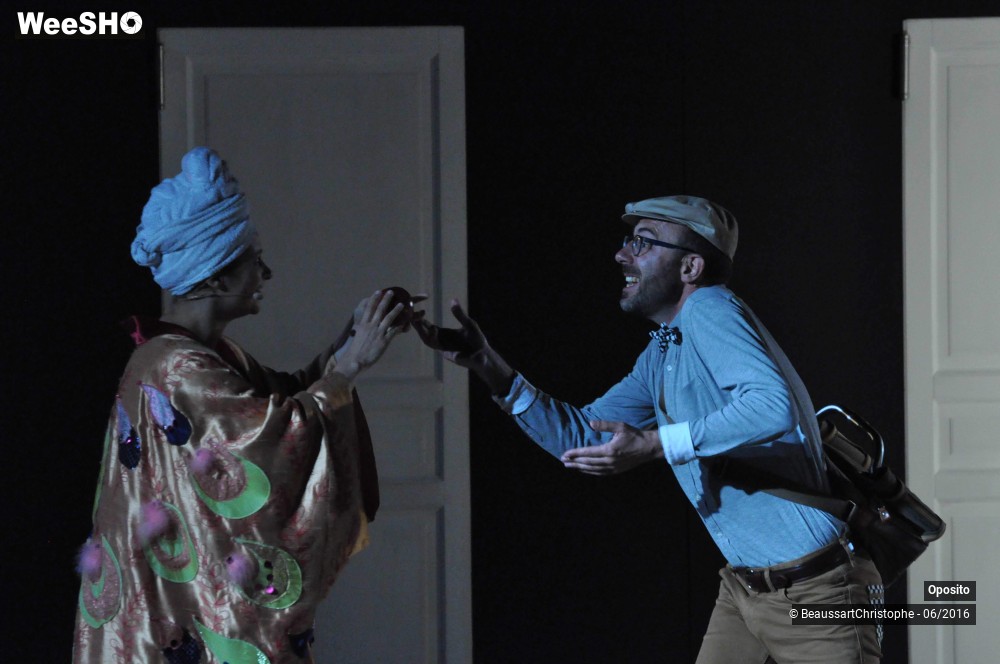 32/33 photos du spectacle La symphonie des sapins