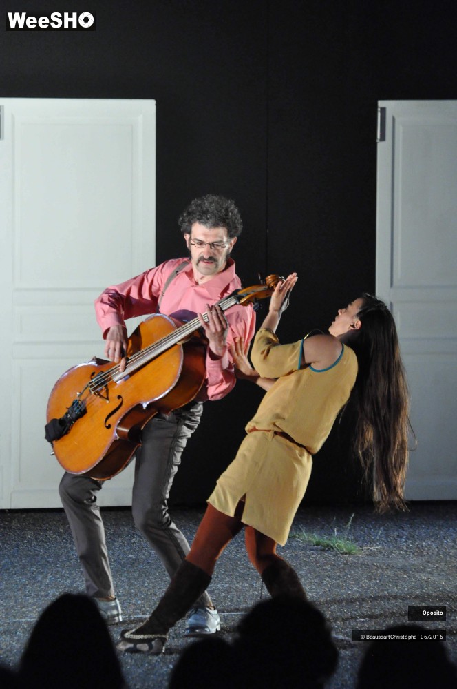 33/33 photos du spectacle La symphonie des sapins