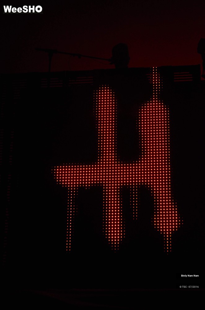 4/13 photos du spectacle Birdy Nam Nam