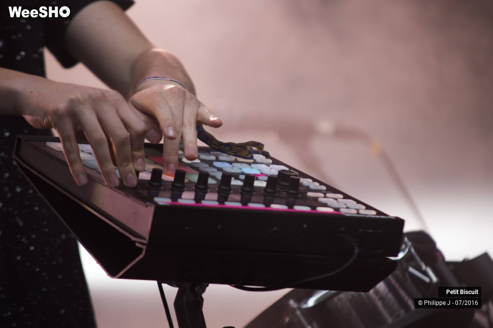 5/9 photos du spectacle Petit Biscuit
