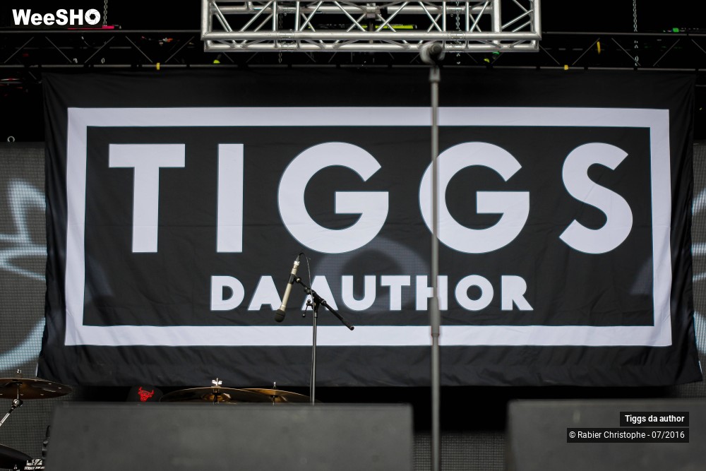 1/28 photos du spectacle Tiggs da author