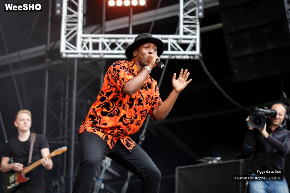 2/28 photos du spectacle Tiggs da author