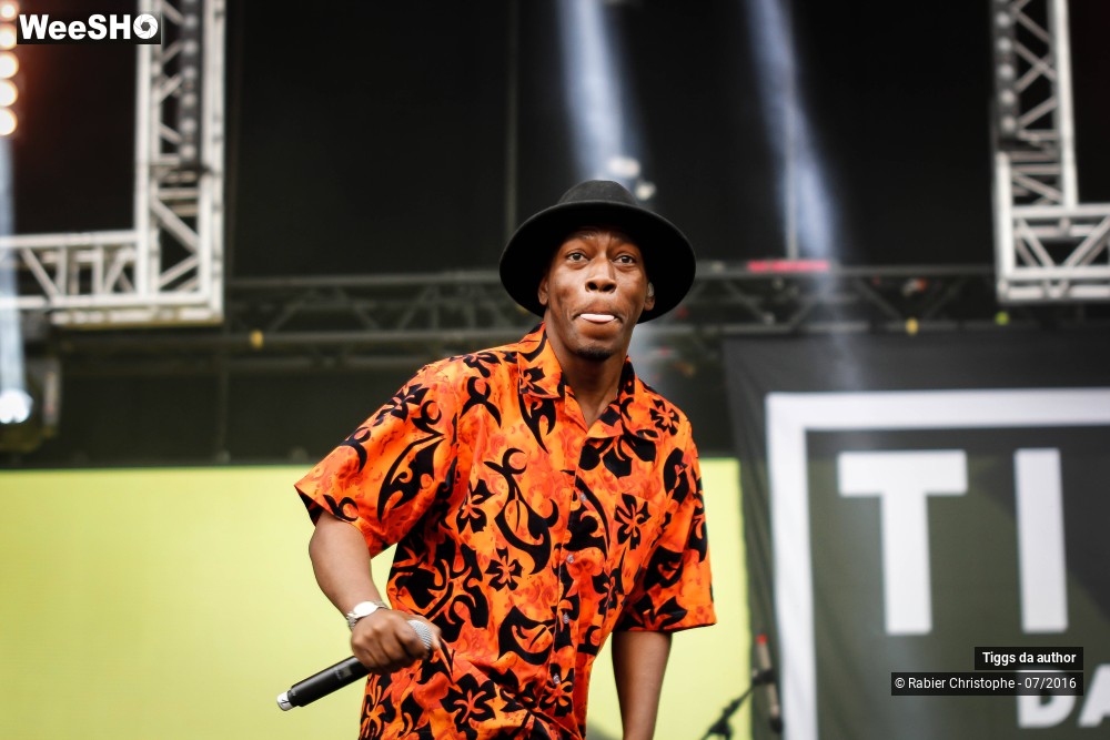 11/28 photos du spectacle Tiggs da author