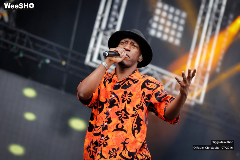 12/28 photos du spectacle Tiggs da author