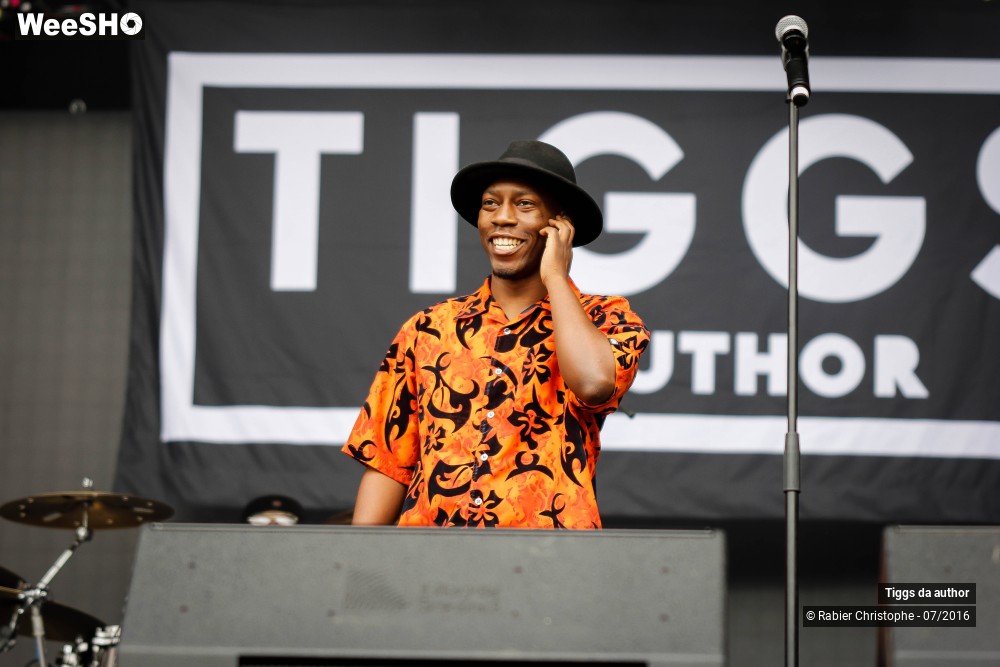 13/28 photos du spectacle Tiggs da author