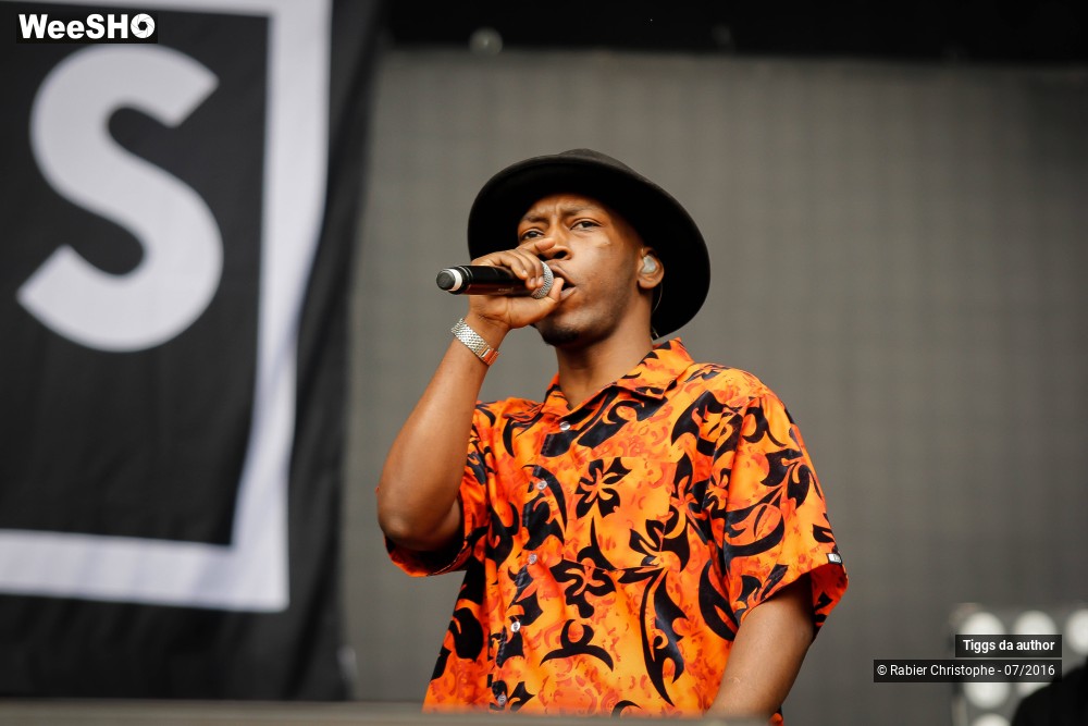 14/28 photos du spectacle Tiggs da author