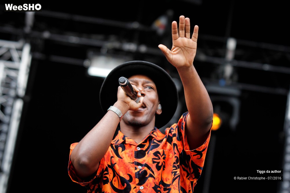 16/28 photos du spectacle Tiggs da author