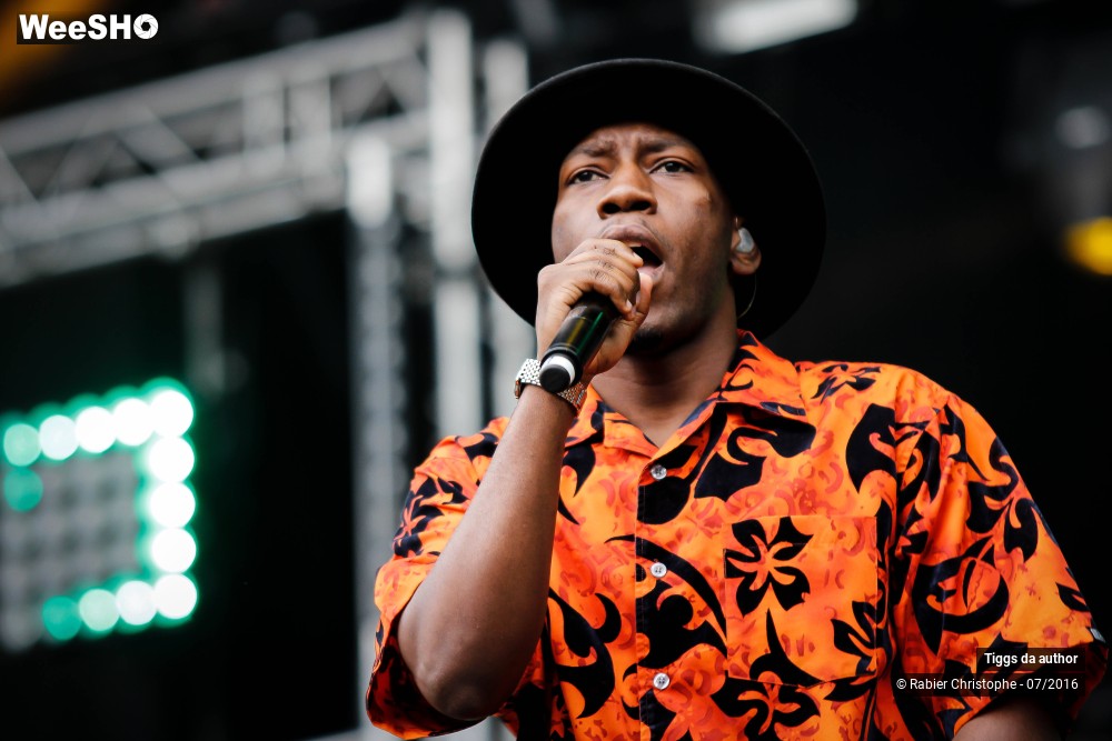 17/28 photos du spectacle Tiggs da author