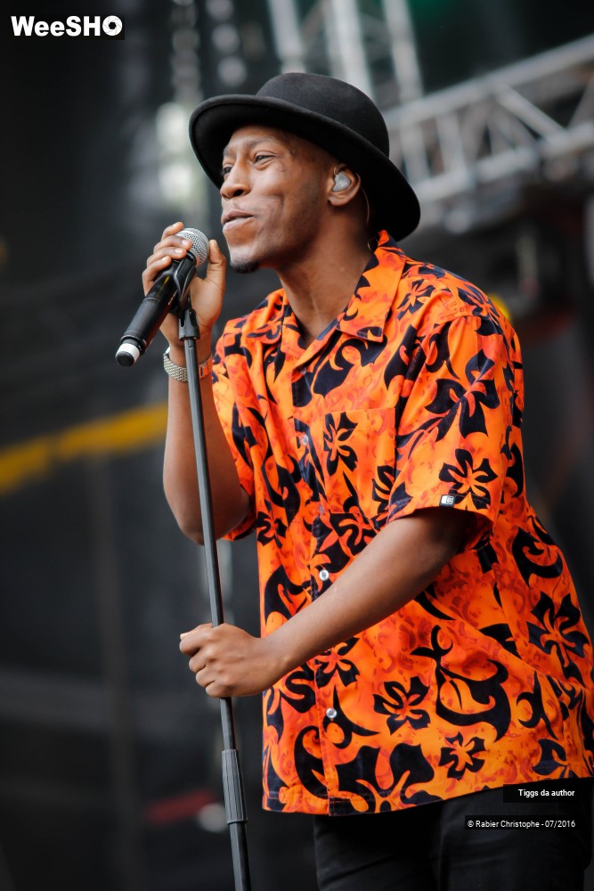 18/28 photos du spectacle Tiggs da author