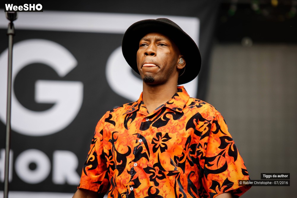 19/28 photos du spectacle Tiggs da author