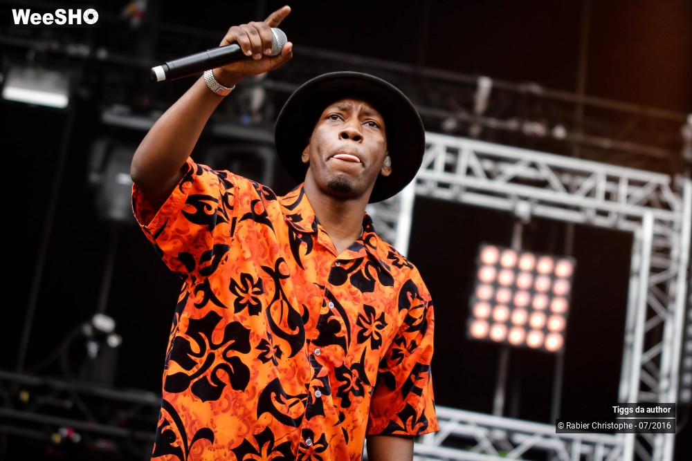 21/28 photos du spectacle Tiggs da author