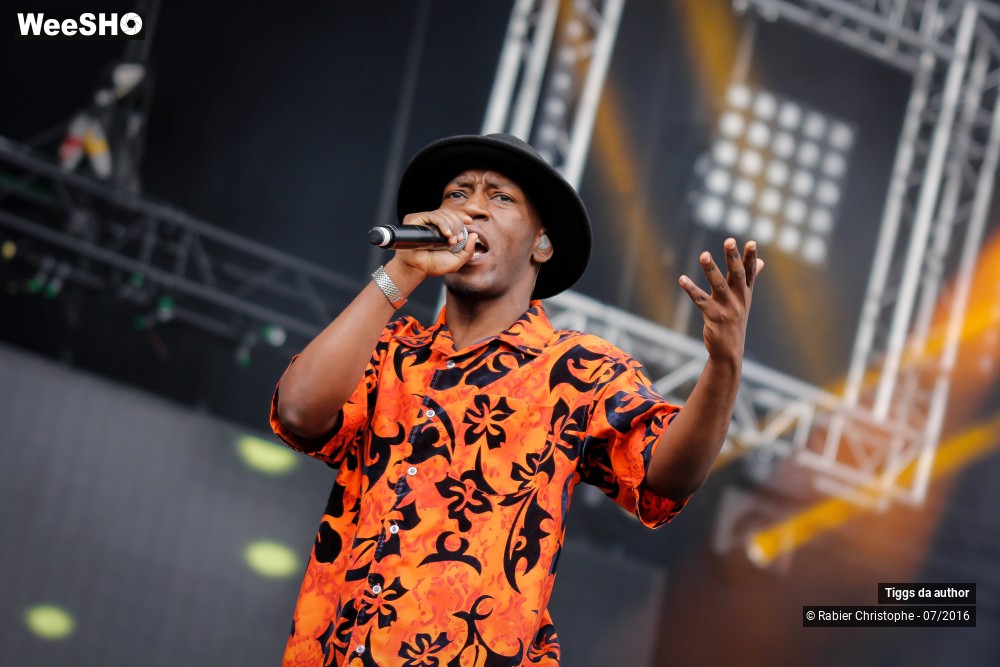 24/28 photos du spectacle Tiggs da author