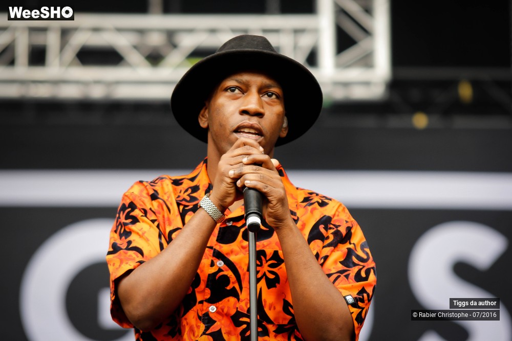 25/28 photos du spectacle Tiggs da author