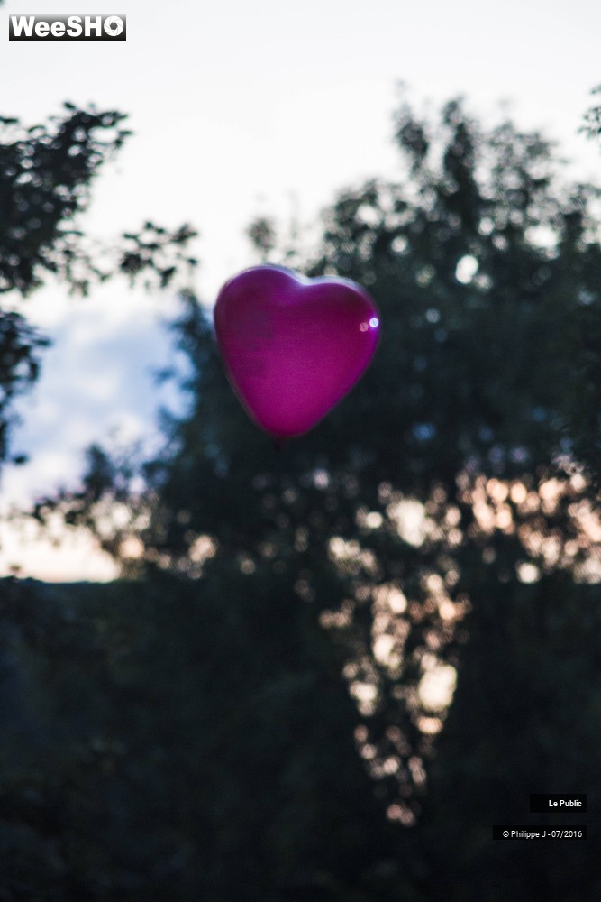 1/30 photos du spectacle Nuits Secrètes 2016 Ambiance 1