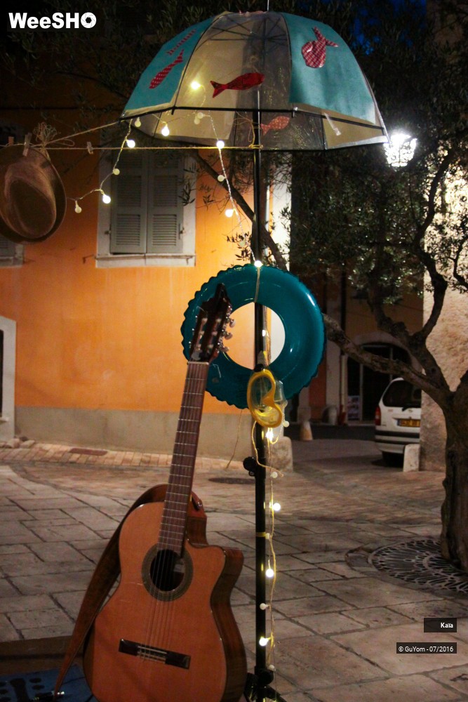 2/49 photos du spectacle Kaïa