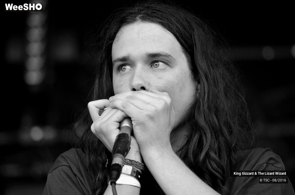 3/14 photos du spectacle King Gizzard & The Lizard Wizard