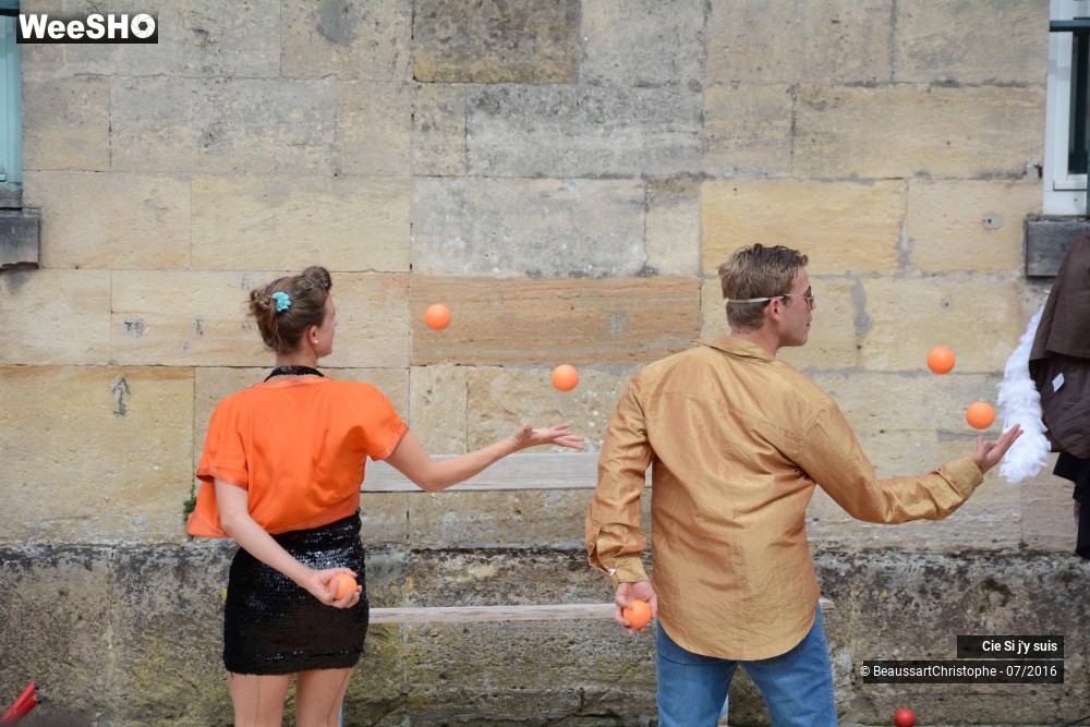 14/38 photos du spectacle Bal(les)