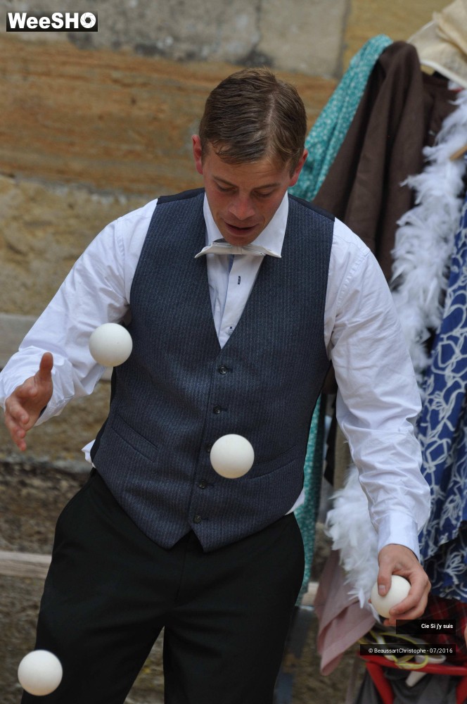 15/38 photos du spectacle Bal(les)