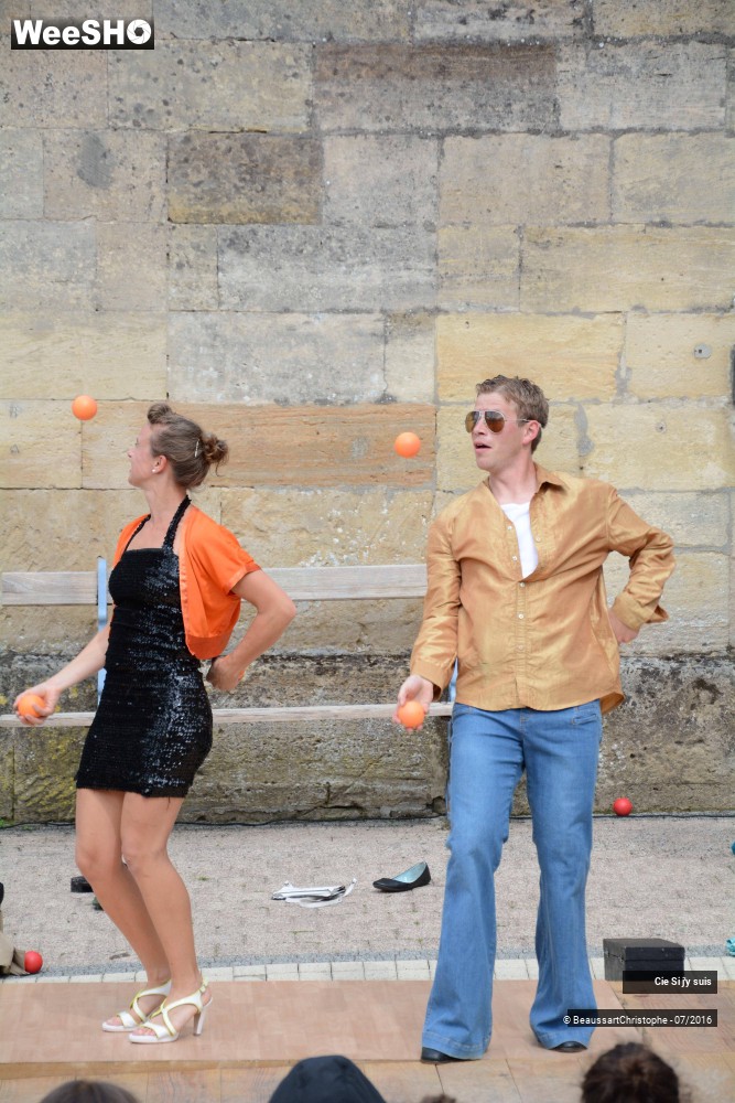 26/38 photos du spectacle Bal(les)