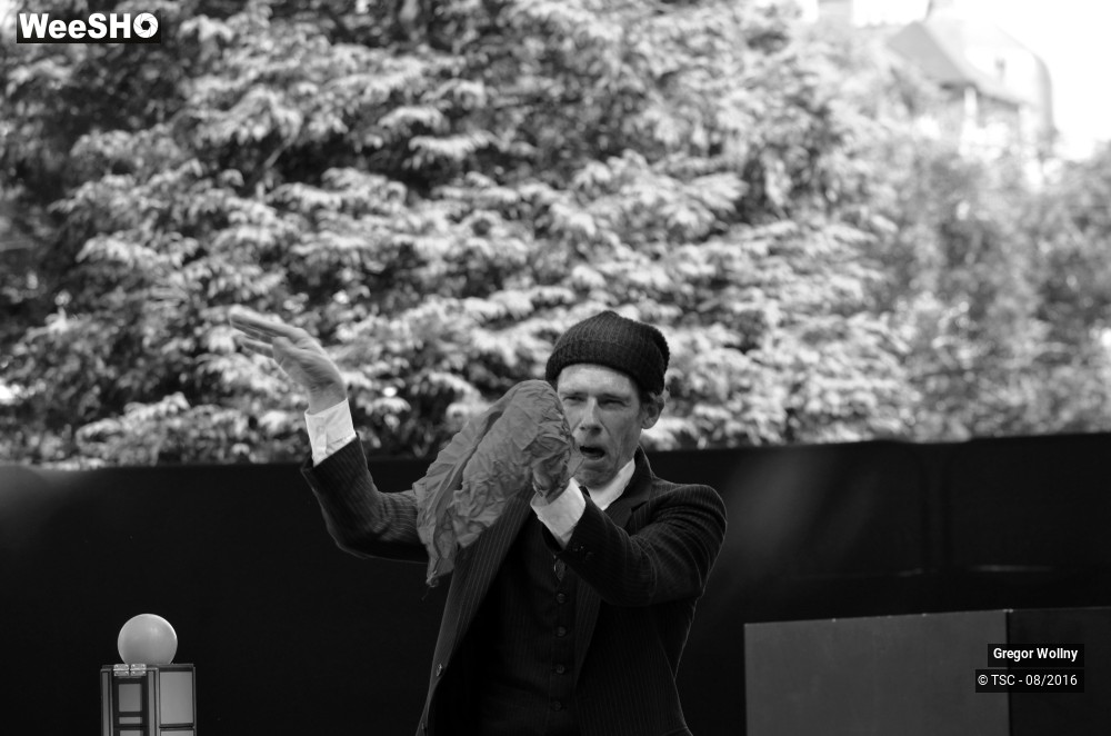 7/31 photos du spectacle Zolstock