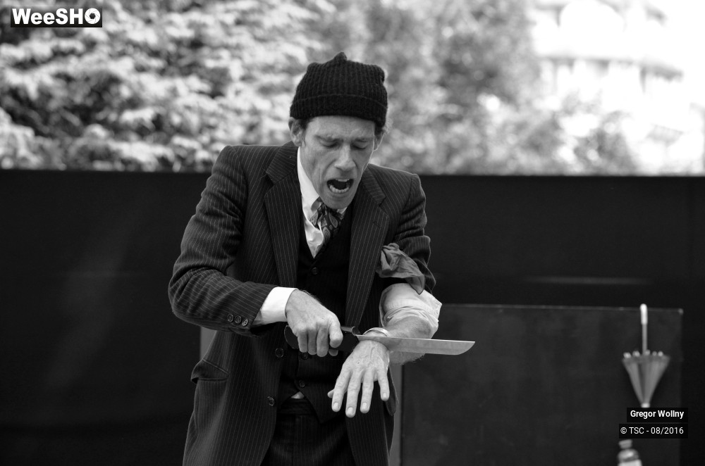 14/31 photos du spectacle Zolstock