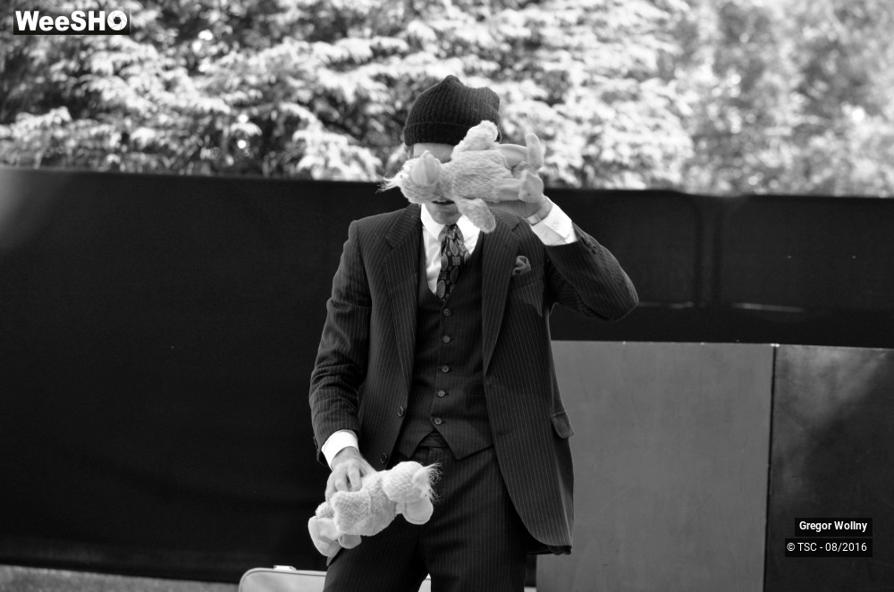 15/31 photos du spectacle Zolstock