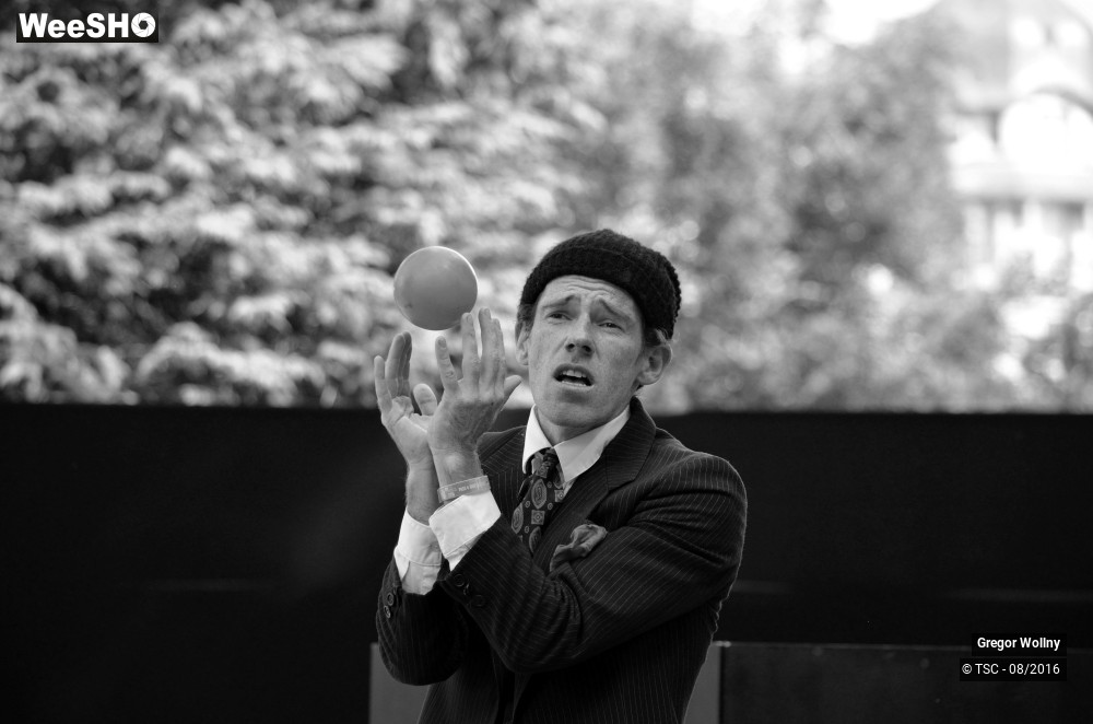 30/31 photos du spectacle Zolstock