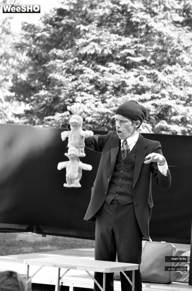 31/31 photos du spectacle Zolstock