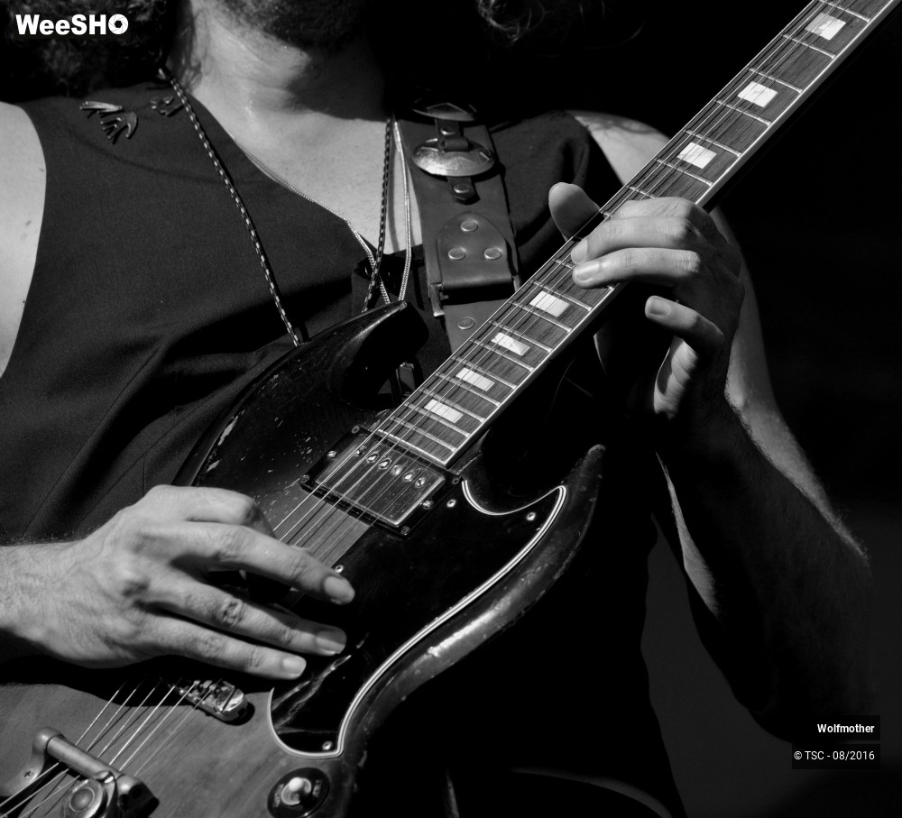 12/24 photos du spectacle Wolfmother