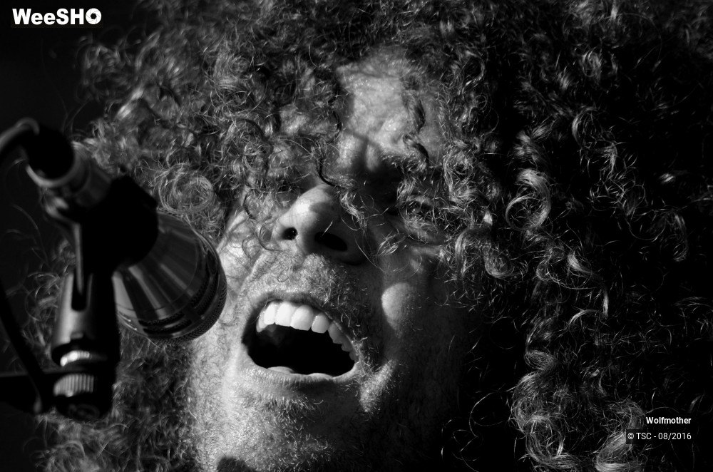 19/24 photos du spectacle Wolfmother