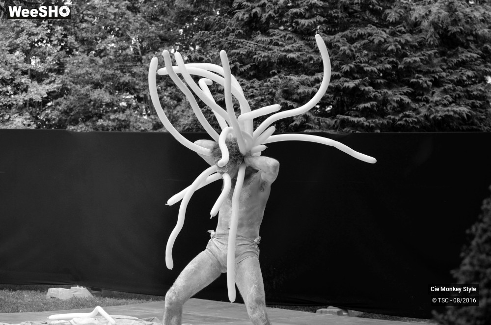 5/28 photos du spectacle Babylloon
