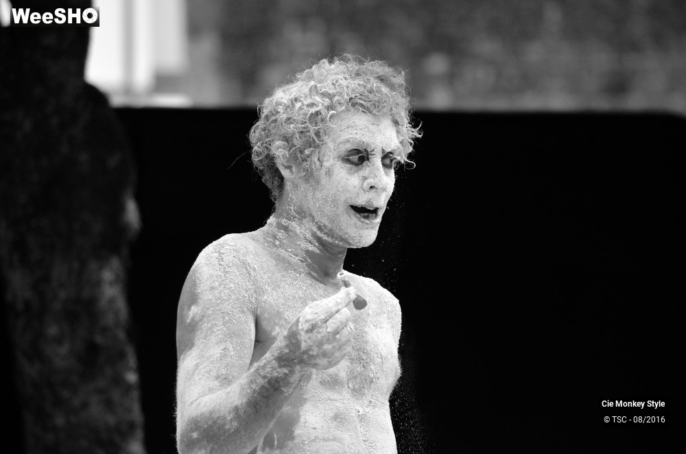 16/28 photos du spectacle Babylloon