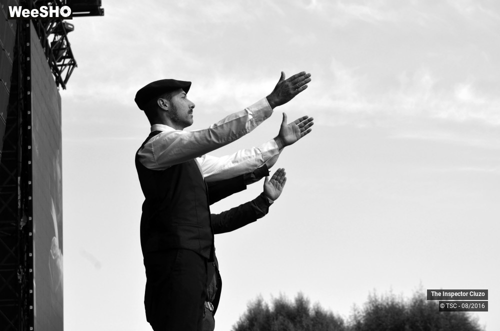 16/31 photos du spectacle The inspector Cluzo